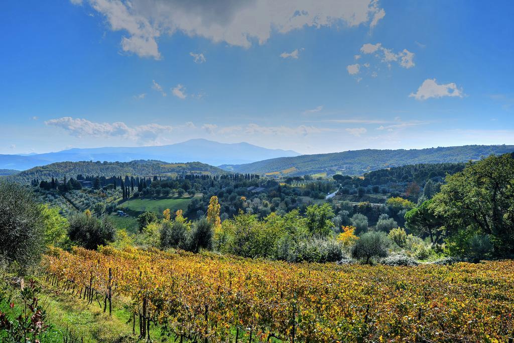 מונטלצ'ינו Agriturismo Fraschetta מראה חיצוני תמונה